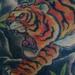Prints-For-Sale - Tiger Ribs - 53879